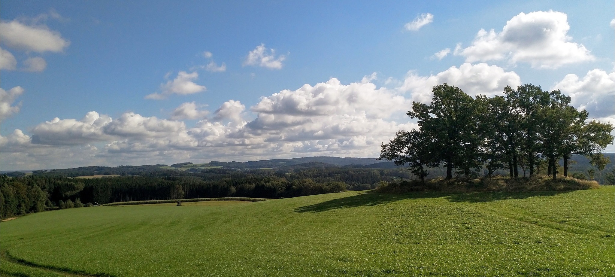 Blick nach Wolfersgrün