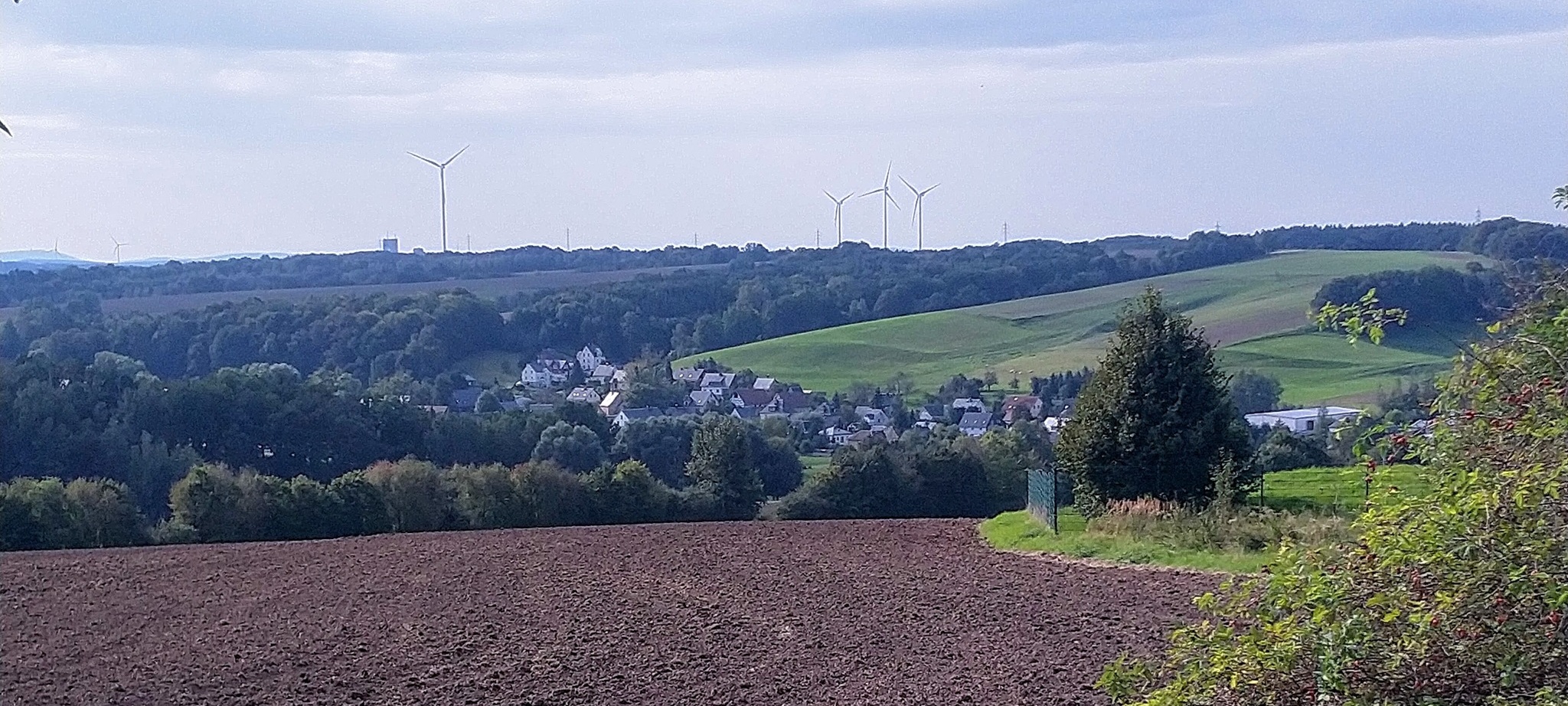 Blick auf Mülsen