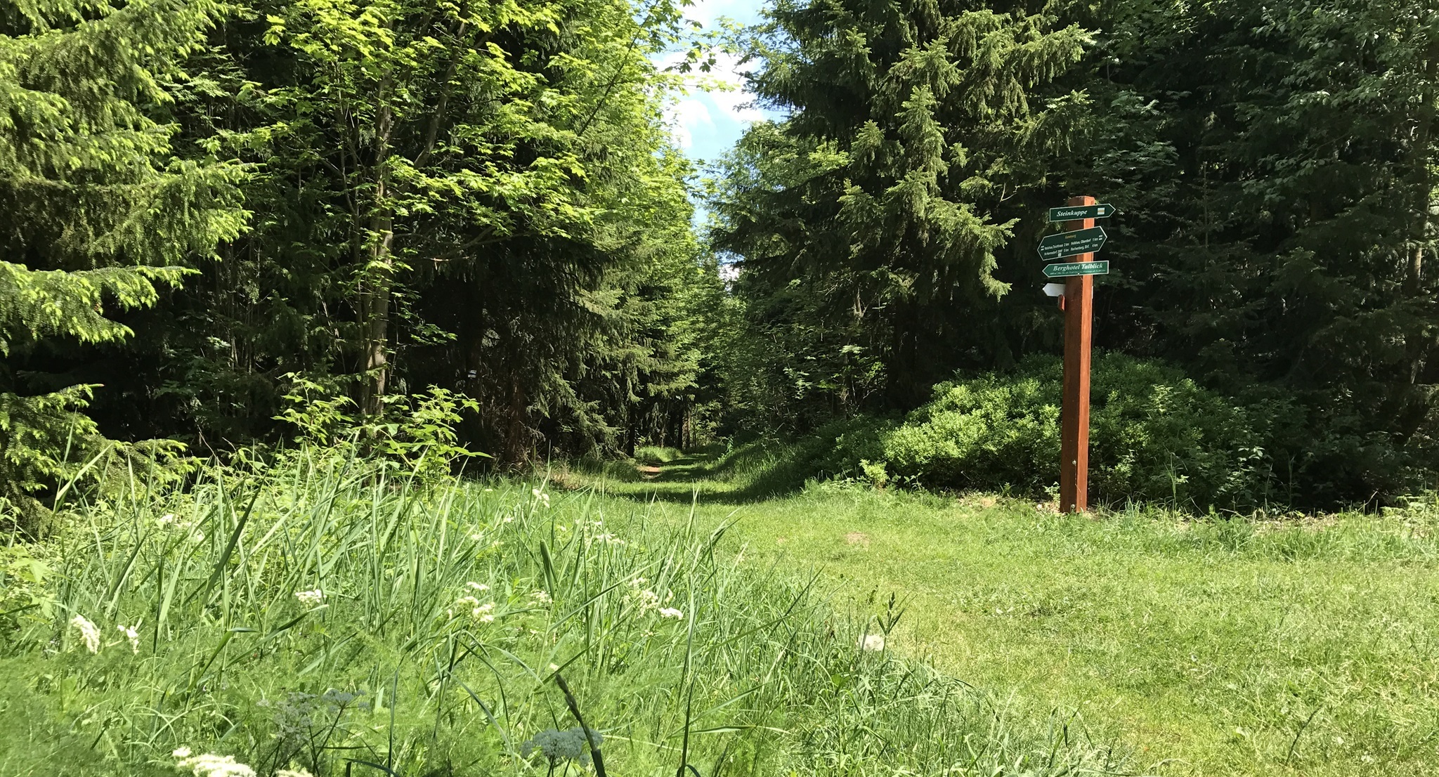 Kammweg zur Steinkuppe Kammweg zur Steinkuppe