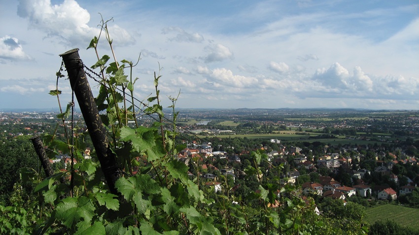 weinberg