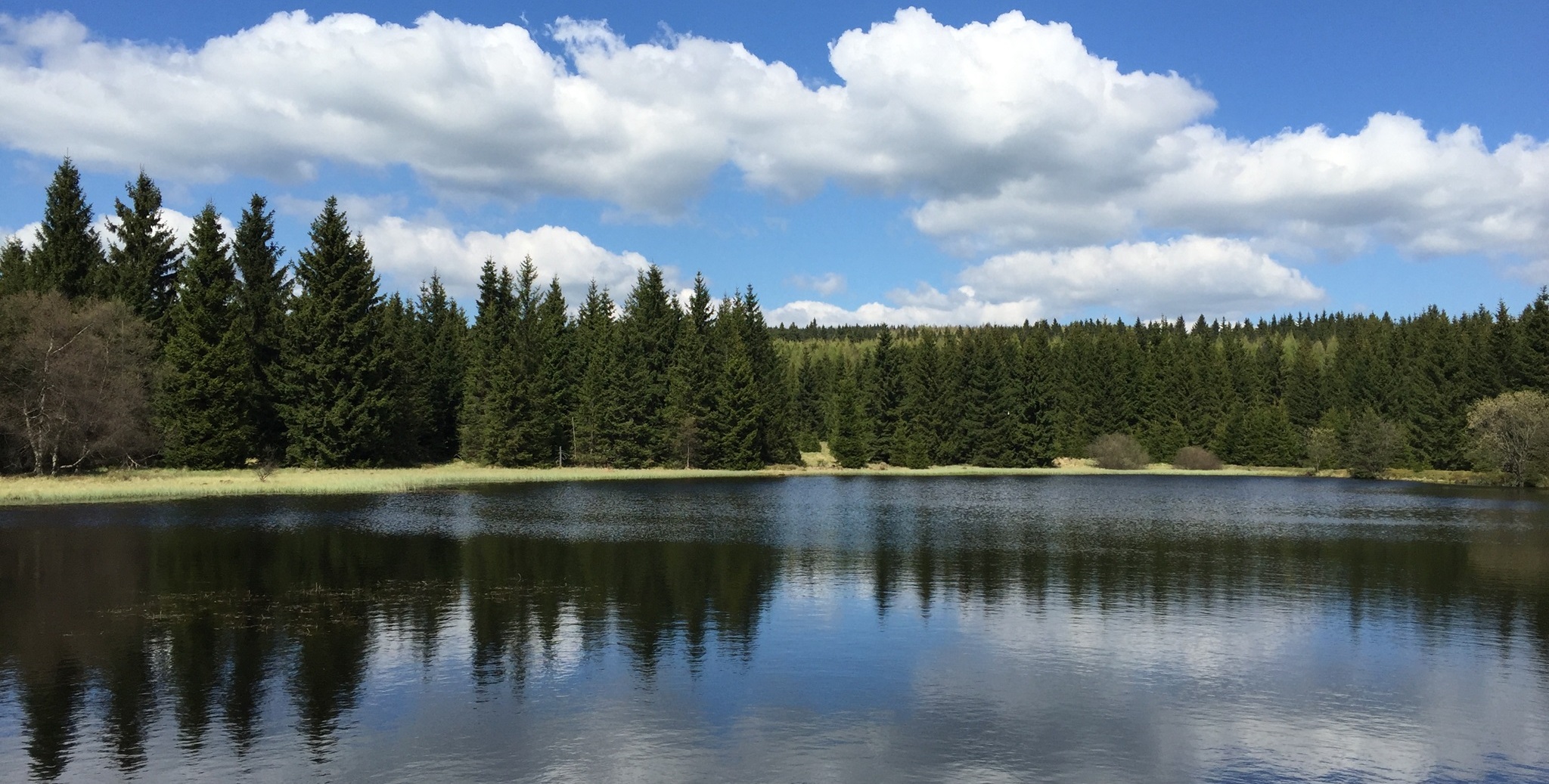 wüster Teich Altenberg wüster Teich Altenberg